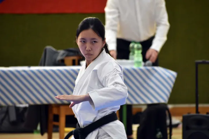 Shotokan Göttingen — Martial Arts in Weststadt, Göttingen