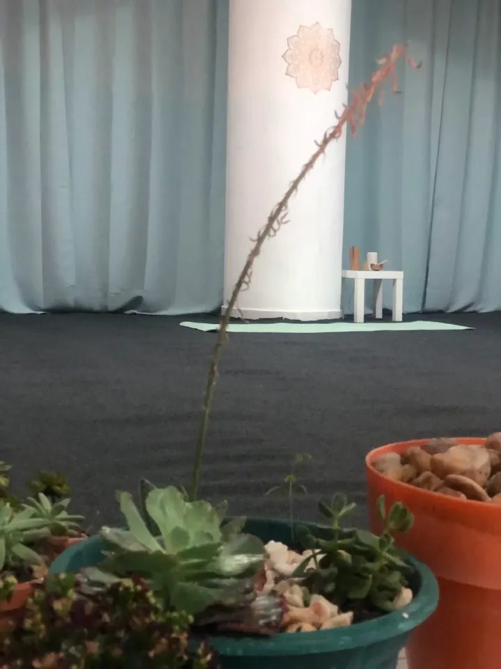 Yoga Kids Algarve ️ — yoga-studio em Vilamoura, Quarteira — 3