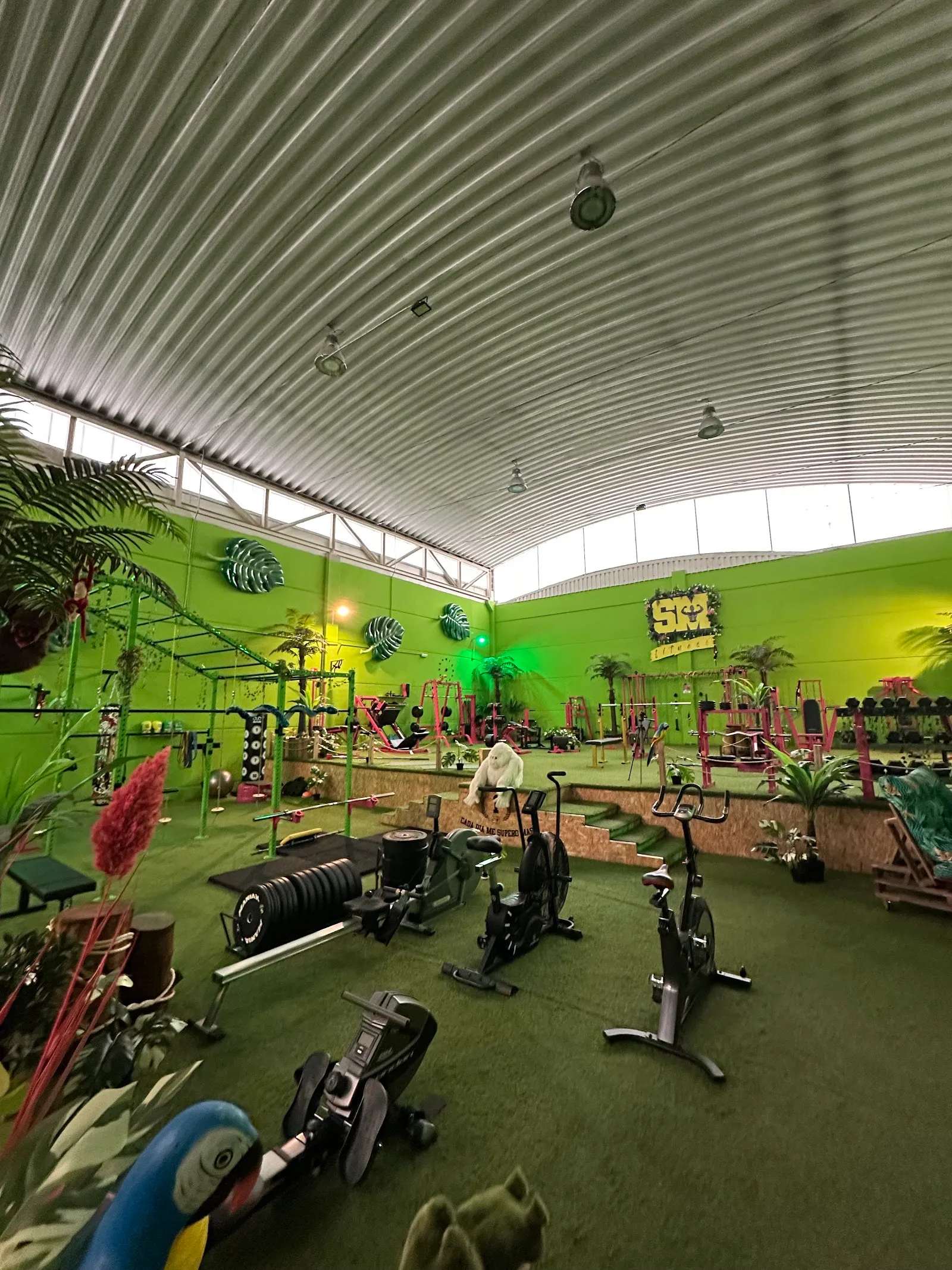 Gimnasio SM Fitness La Jungla — estudio de fitness-studio en Zaratán — 2