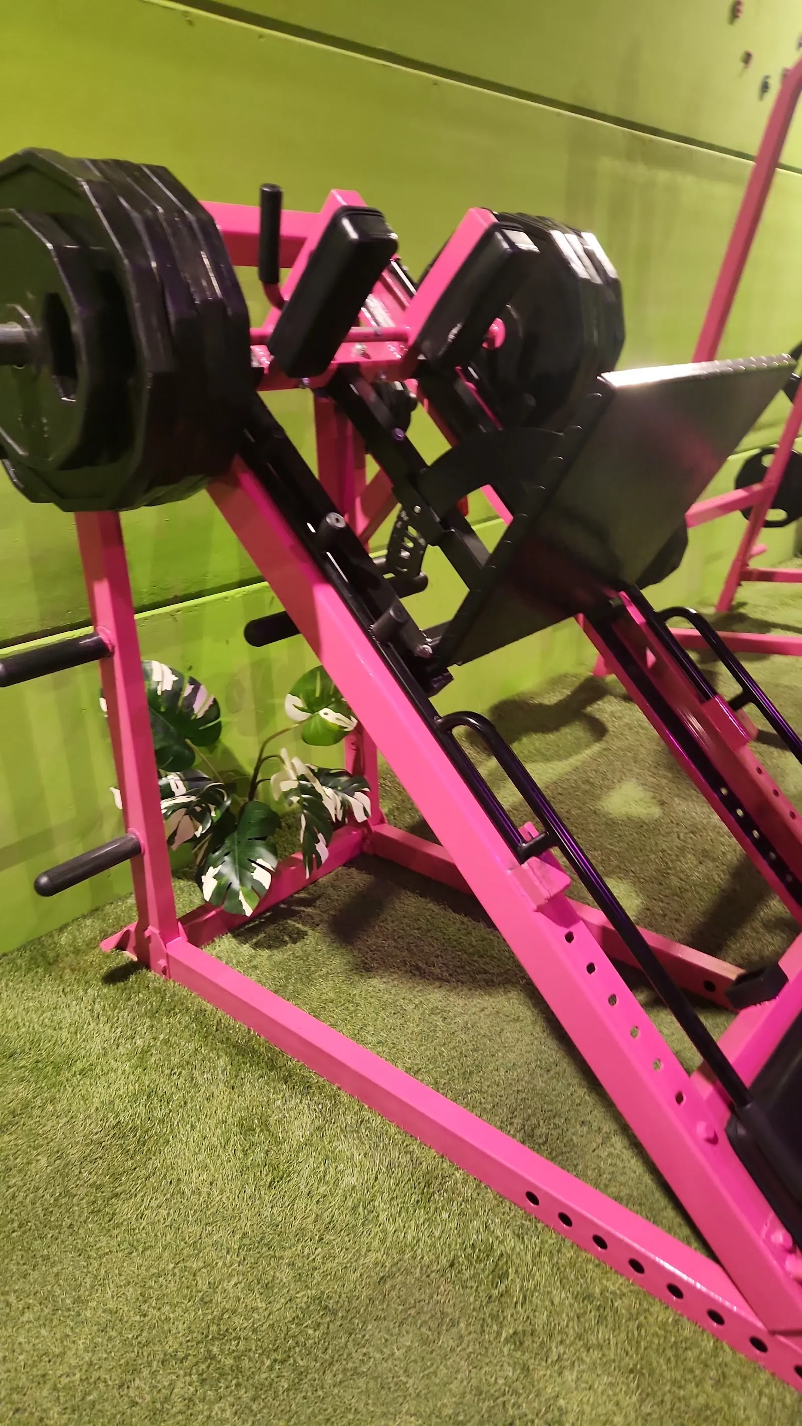 Gimnasio SM Fitness La Jungla — estudio de fitness-studio en Zaratán — 3