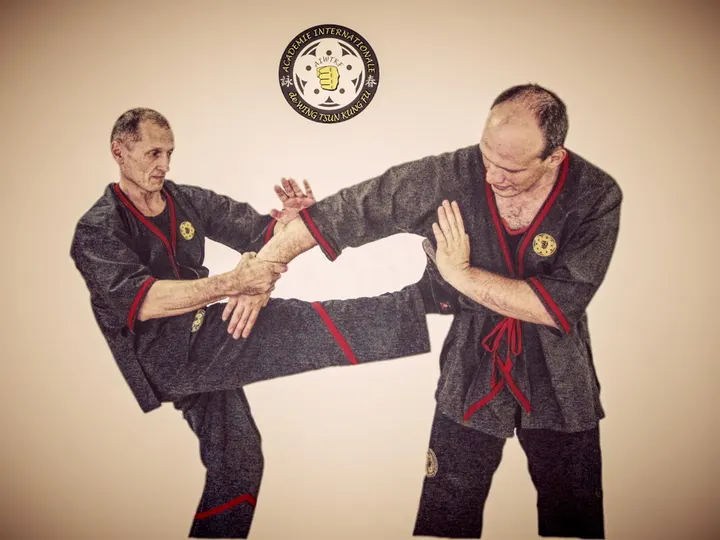Wing Tsun AIWTKF Hannover — kampfsport-studio in Hannover — 3