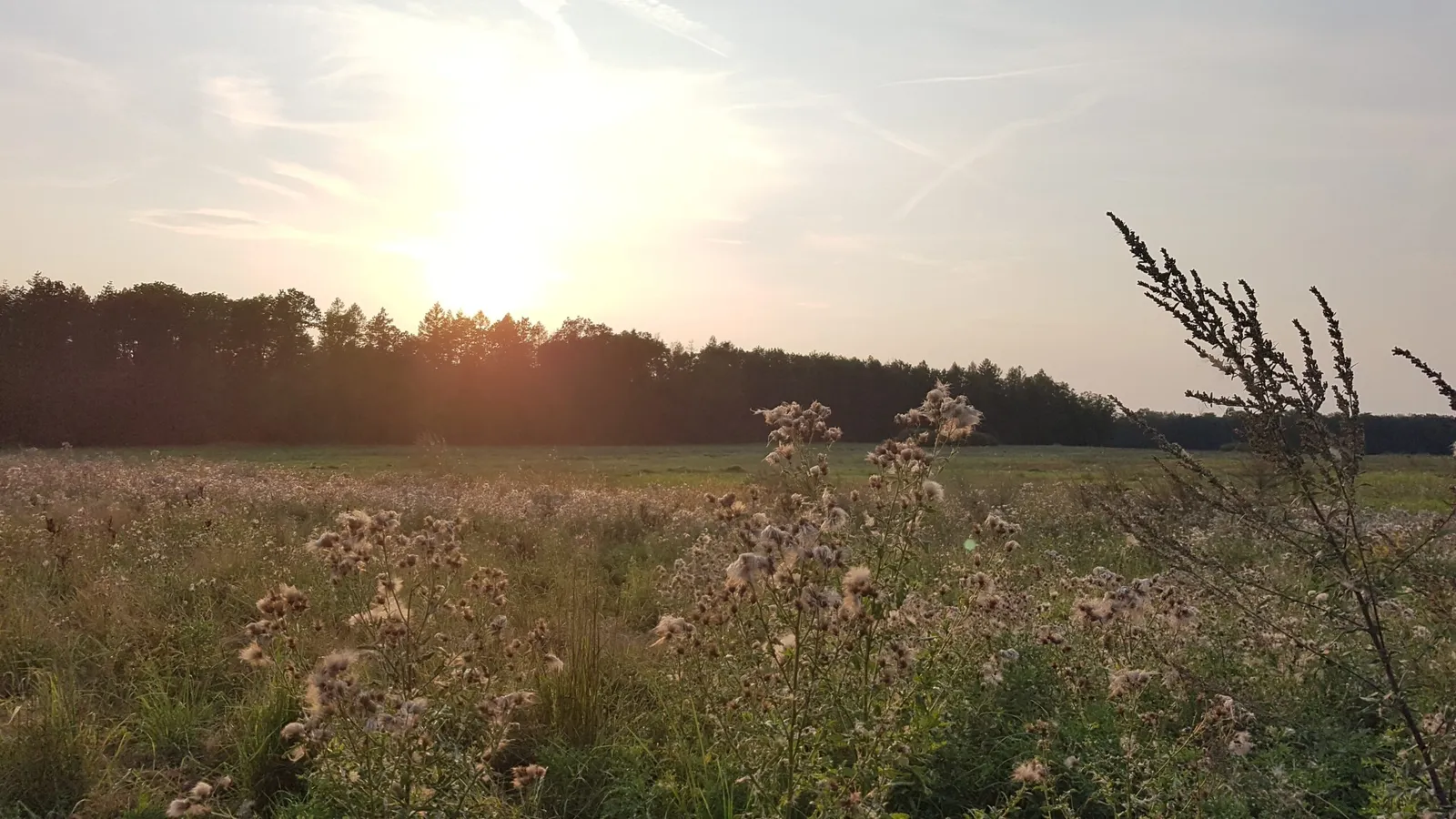 YoMeKla - Yoga * Meditation* Klang — yoga-studio i Dresden — 2