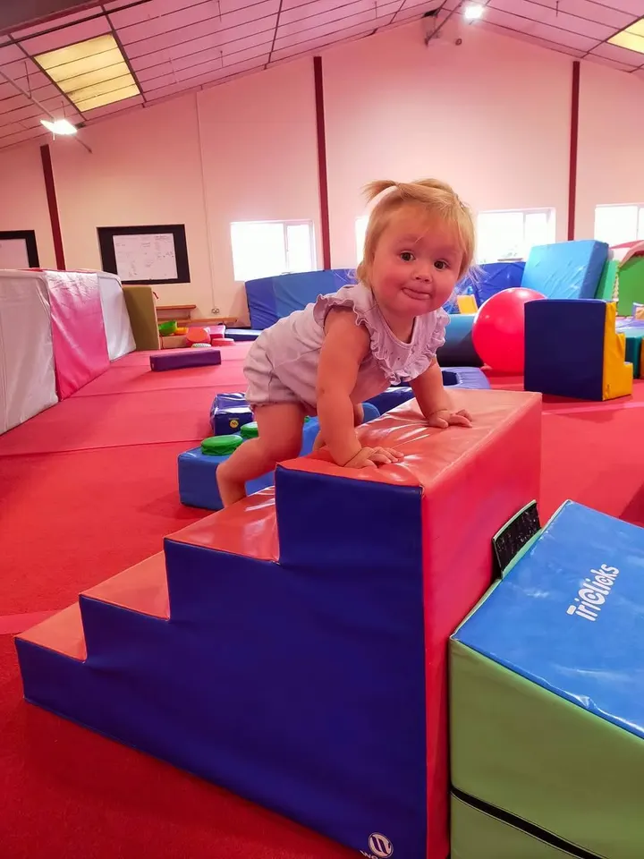 Wolds Gymnastics Club — gymnastics-studio in Driffield — 3