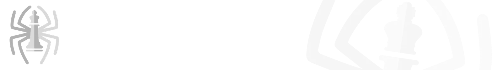 Nordic Grappling Arts Borås — bjj-studio i Norrby, Borås — 2