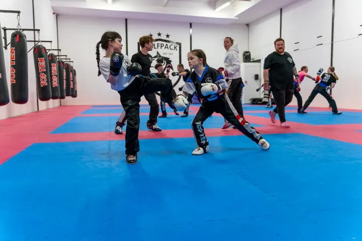 Wolfpack Martial Arts 13 — martial arts-studio in Kirkton, Livingston — 3
