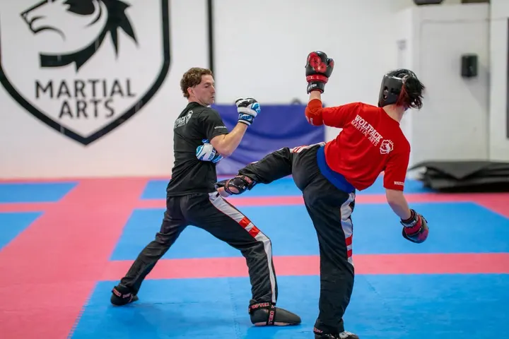 Wolfpack Martial Arts 13 — martial arts-studio in Livingston — 4