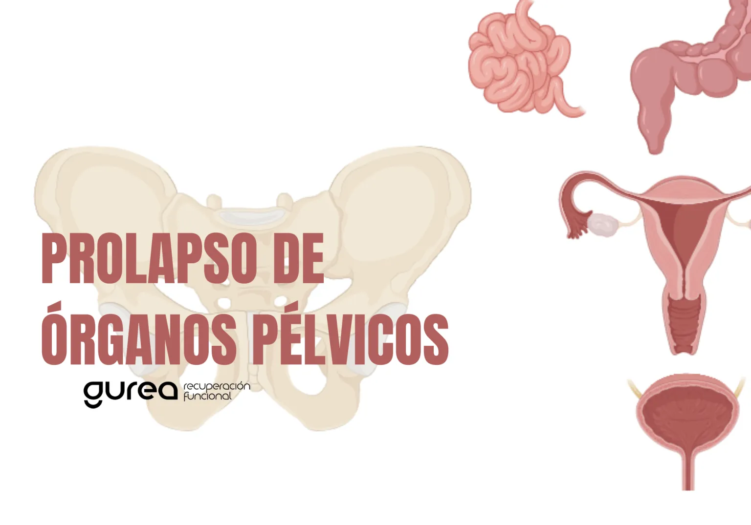 Gurea Recuperación Funcional — pt-studio-studio i Bilbao — bild 4