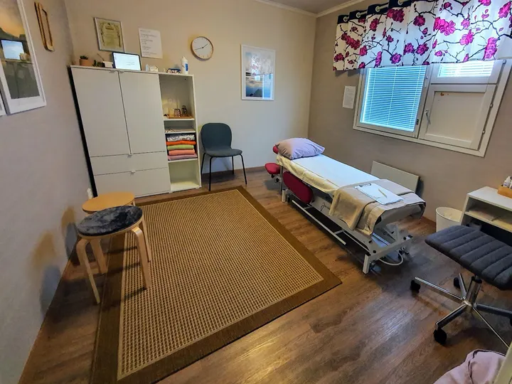 Minna Viljanen — Wellness – Harmaalinna, Pori