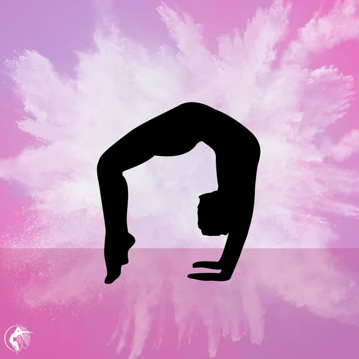 Aerial Impulse — pole fitness-studio in Leamington Spa — 2