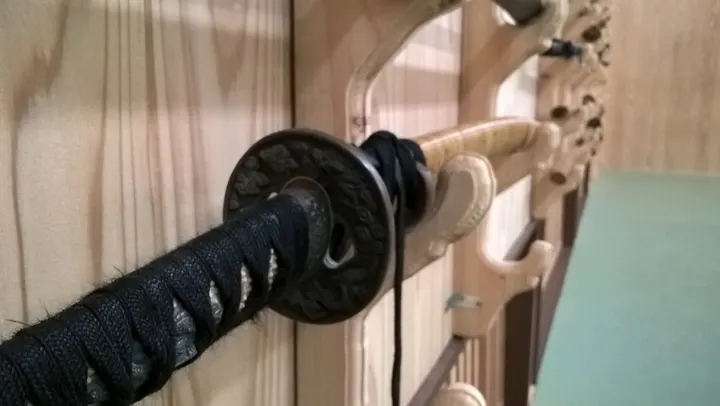 Bujinkan Dojo Rennes — arts martiaux-studio à La Motte Brûlon, Rennes — 3