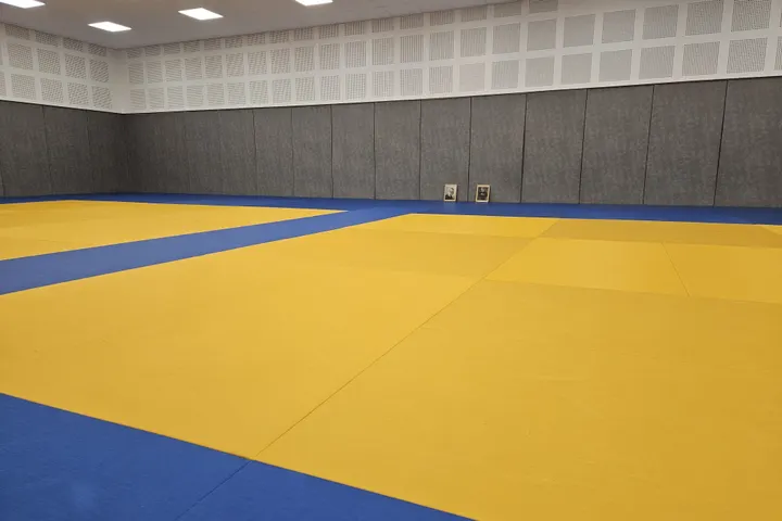 Bujinkan Dojo Rennes — Arts martiaux à La Motte Brûlon, Rennes