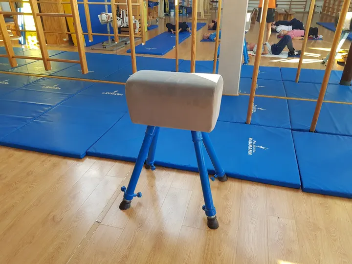ISTITUTO BAUMANN — ginnastica-studio a Centro Direzionale, Prato — 2