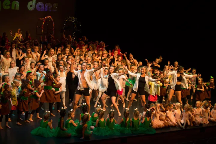 Pulse Dansschool — dans-studio in Eindhoven — 3