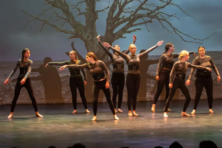 Pulse Dansschool — Dans in Stratum, Eindhoven