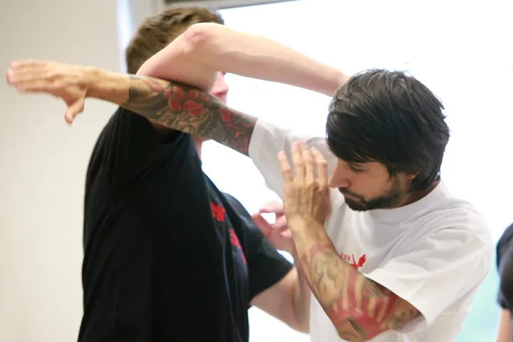 WingTsun Akademie Hage Darmstadt — kampfsport-studio in Darmstadt-Nord, Darmstadt — 3