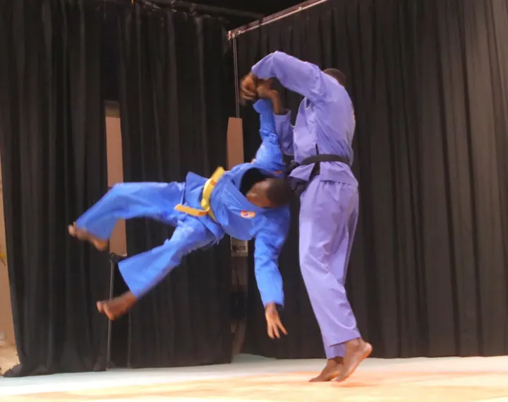 Vovinam Viet Vo Dao Lyon — arts martiaux-studio aux Brotteaux, Lyon — 3