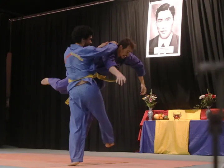 Vovinam Viet Vo Dao Lyon — arts martiaux-studio à Lyon — 3