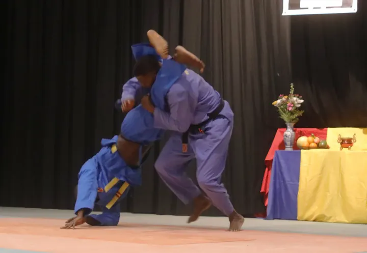 Vovinam Viet Vo Dao Lyon — arts martiaux-studio à Lyon — 4