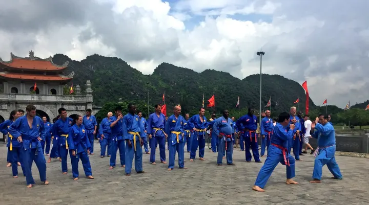 Vovinam Viet Vo Dao Lyon — arts martiaux-studio à Lyon — 5