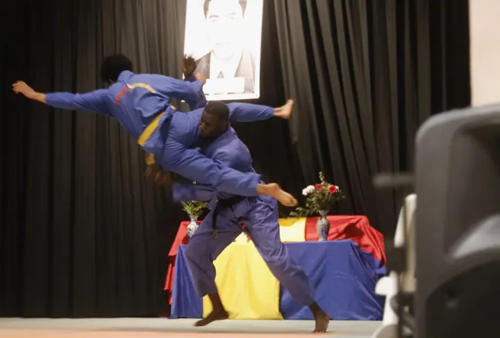 Vovinam Viet Vo Dao Lyon — arts martiaux-studio à Lyon — 6
