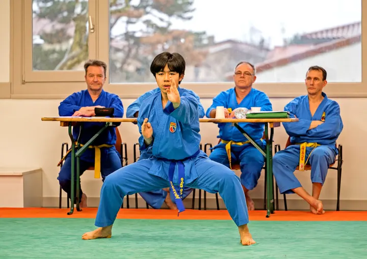 Vovinam Viet Vo Dao Lyon — Arts martiaux aux Brotteaux, Lyon