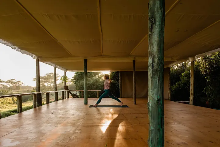 Wild Kat Yoga Bradbury — Yoga in Henleaze, Bristol