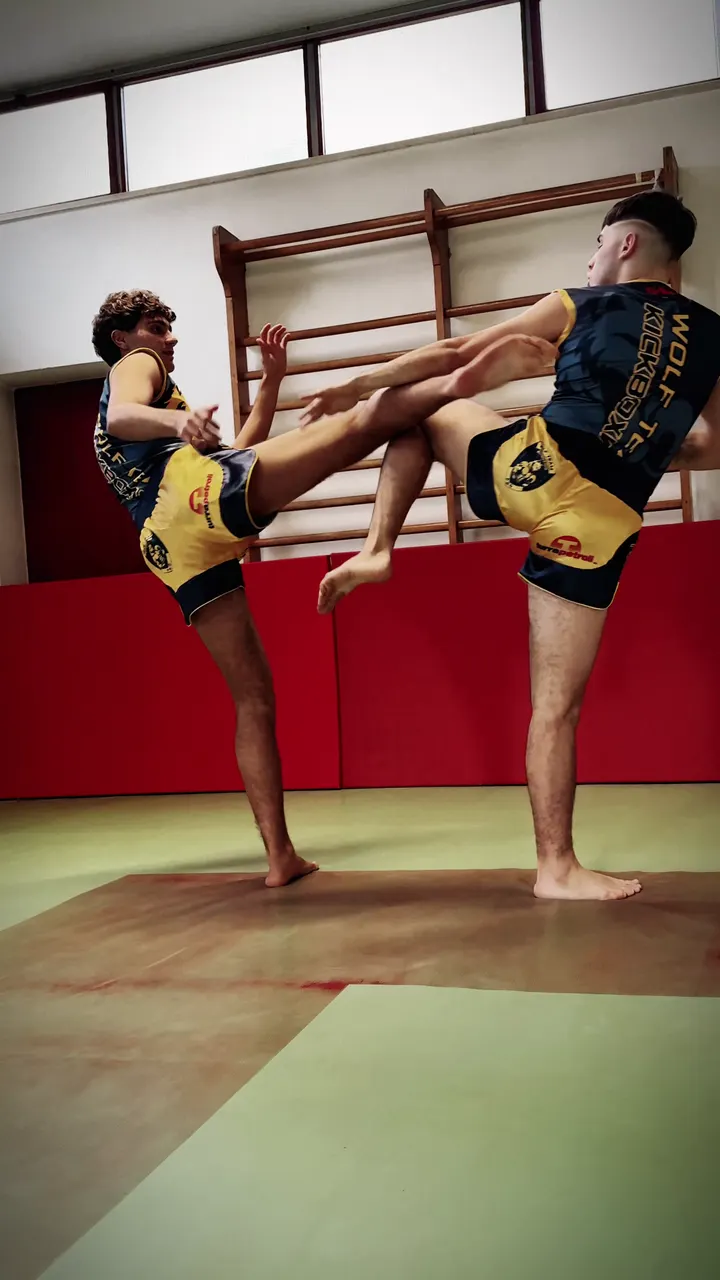ASD Wolf Team — arti marziali-studio a San Giuseppe, Palazzolo sull'Oglio — 2