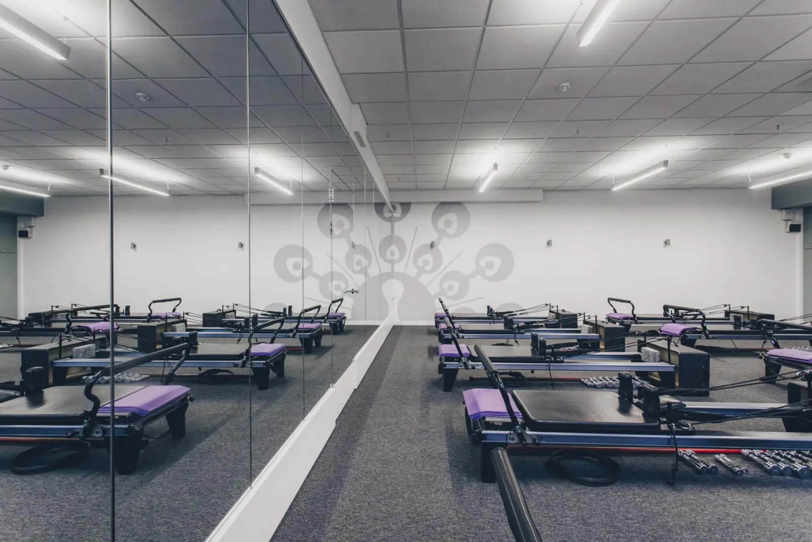 Ten Health & Fitness Notting Hill — reformer pilates-studio in North Kensington, London — 2