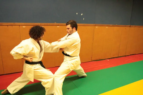 Saint Sernin Karate — arts martiaux-studio à Capitole / Arnaud Bernard / Carmes, Toulouse — 2