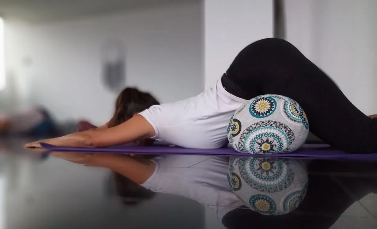 Escuela Nidhan - Pamplona — yoga-studio en Ansoáin — 3