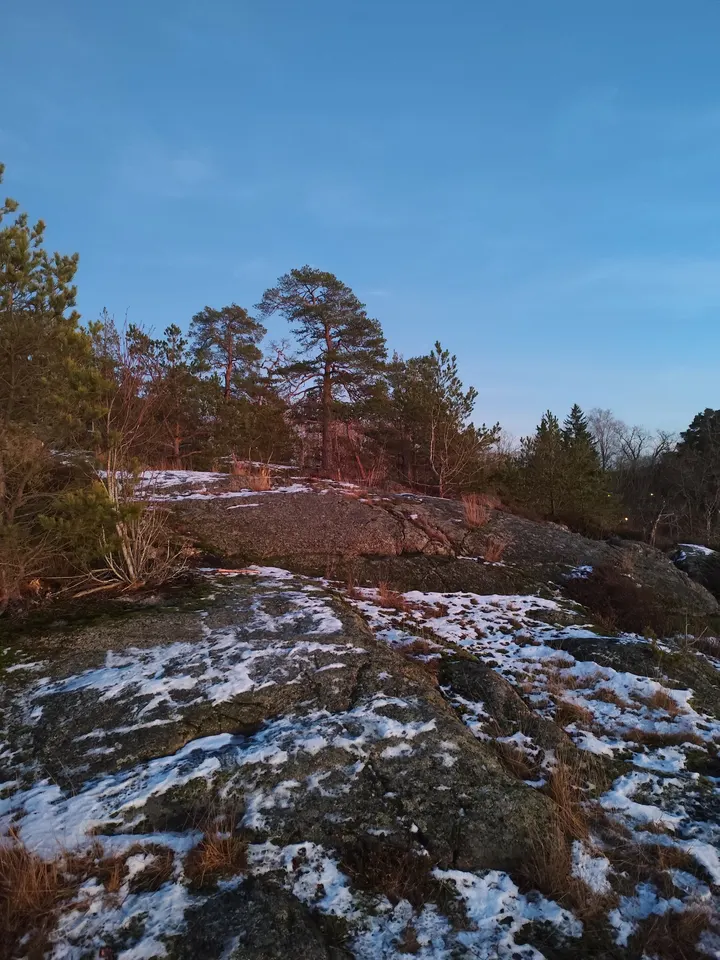 Örnberget climbing crag — klättring-studio i Stockholm — 4