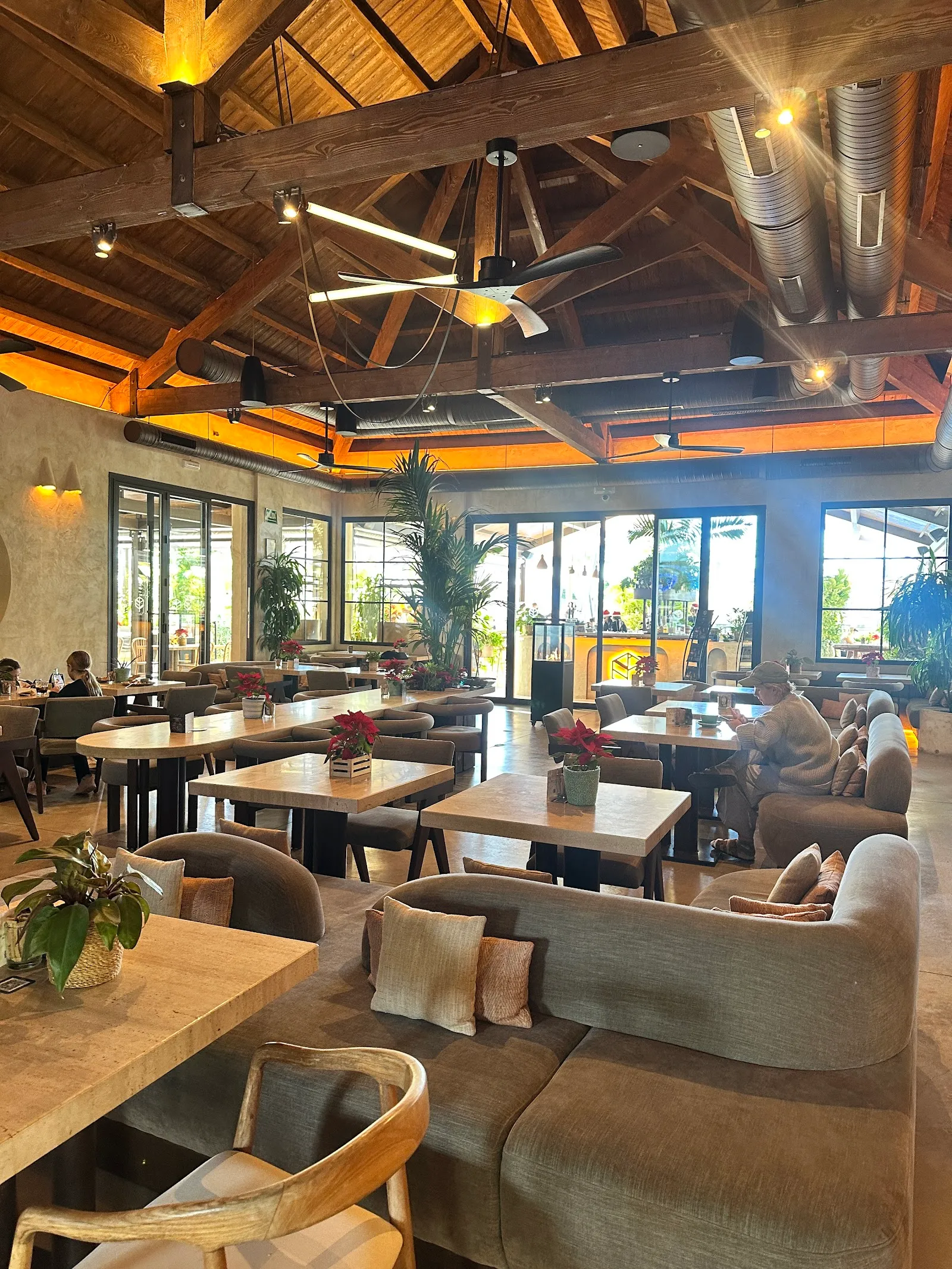 The Io — estudio de fitness-studio en Marbella — 4