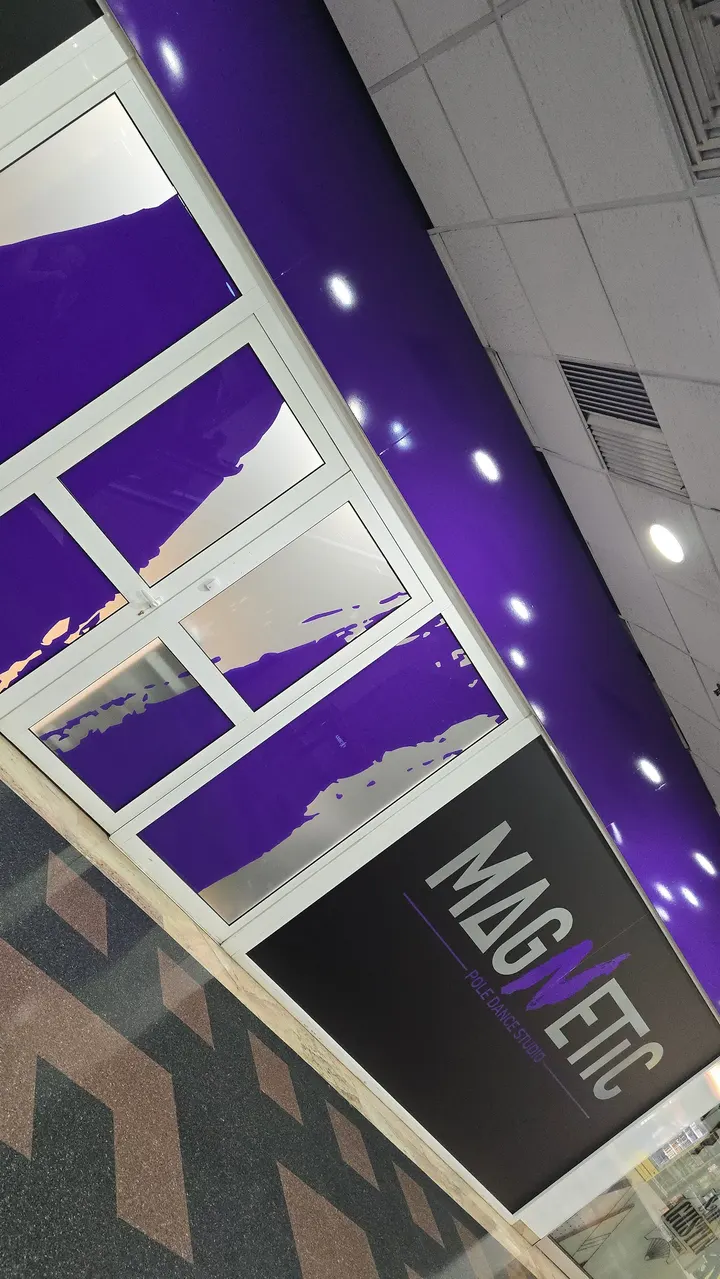 Magnetic Pole Dance Studio — baile-studio en El Centro, Gijón — 3
