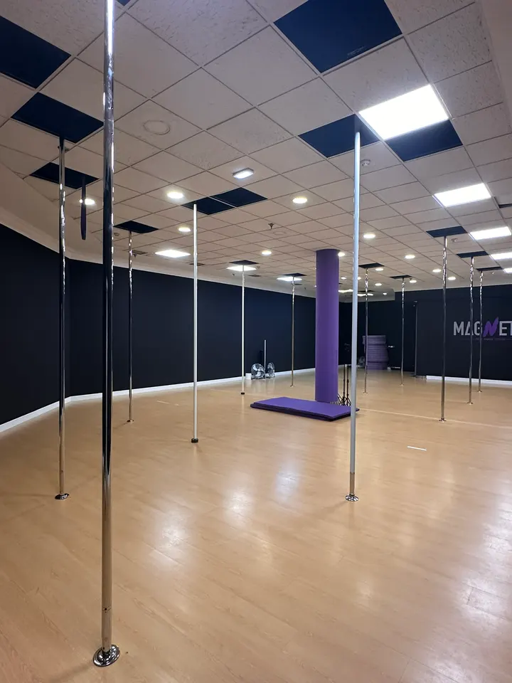 Magnetic Pole Dance Studio — baile-studio en Gijón — 3