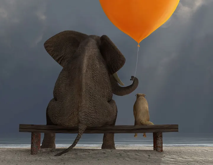 Happy Mindful Us — meditatie-studio in Putten — 3