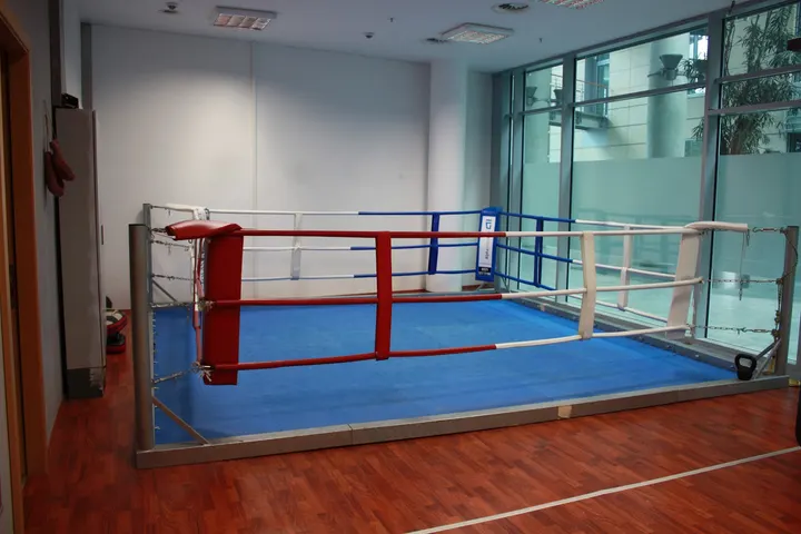Executive Sports Club – Boxen und Kickboxen — Kampfsport in Westend Süd, Frankfurt am Main