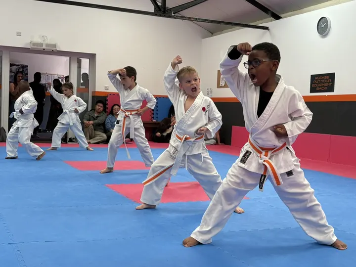 Mk Shotokan Karate Academy — Martial Arts in Leighton-Linslade, Leighton Buzzard
