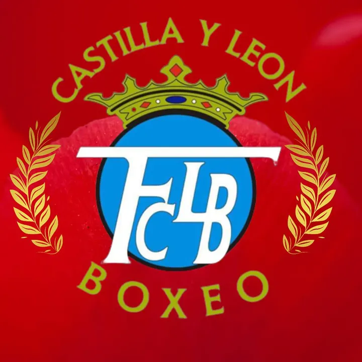 Federación De Castilla Y León De Boxeo — martial arts-studio i San Pedro Regalado, Valladolid