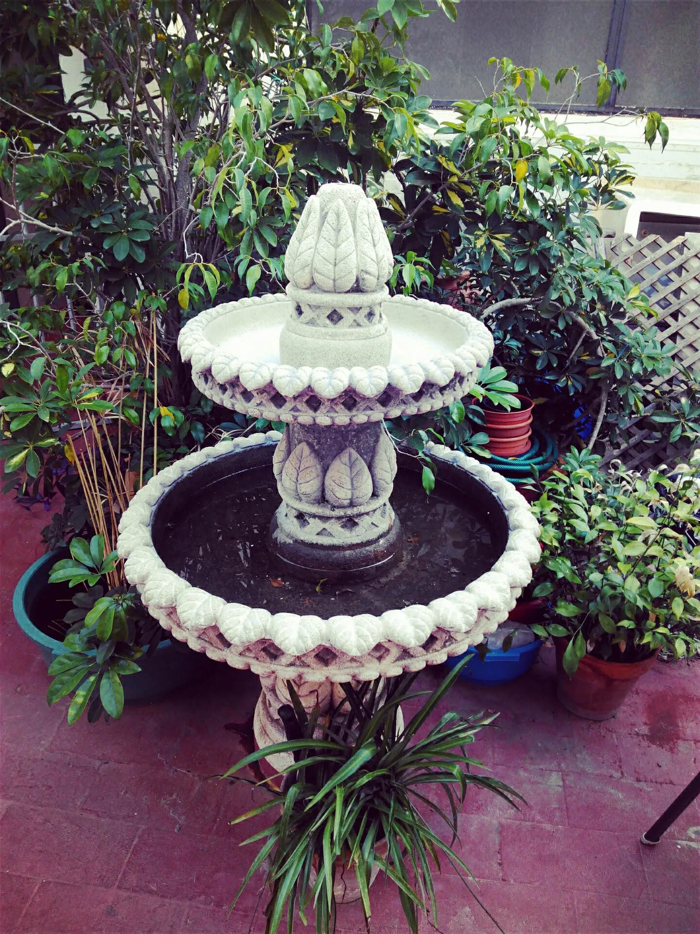 FREE INTERNATIONAL YOGA CENTER — yoga-studio en Torremolinos — 4