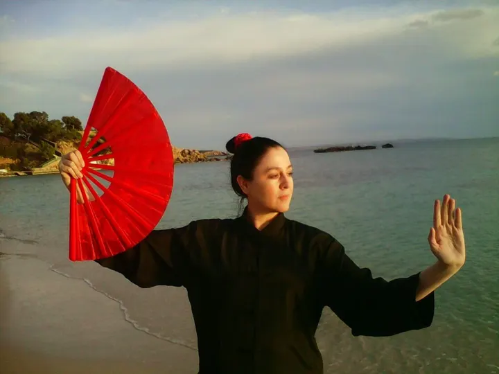 Tai Chi, Kung Fu, Chi Kung, Meditación Mallorca "Centro de Investigación de Artes Orientales" Directora Eva Caimari Caldes — meditation-studio i Son Espanyolet, Palma
