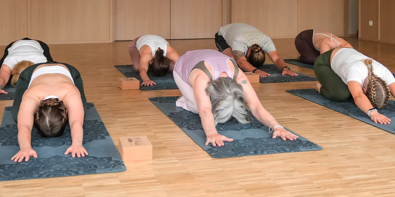 YOGA HOUSE by HARDY's — yoga-studio i Fürstenfeldbruck — 3