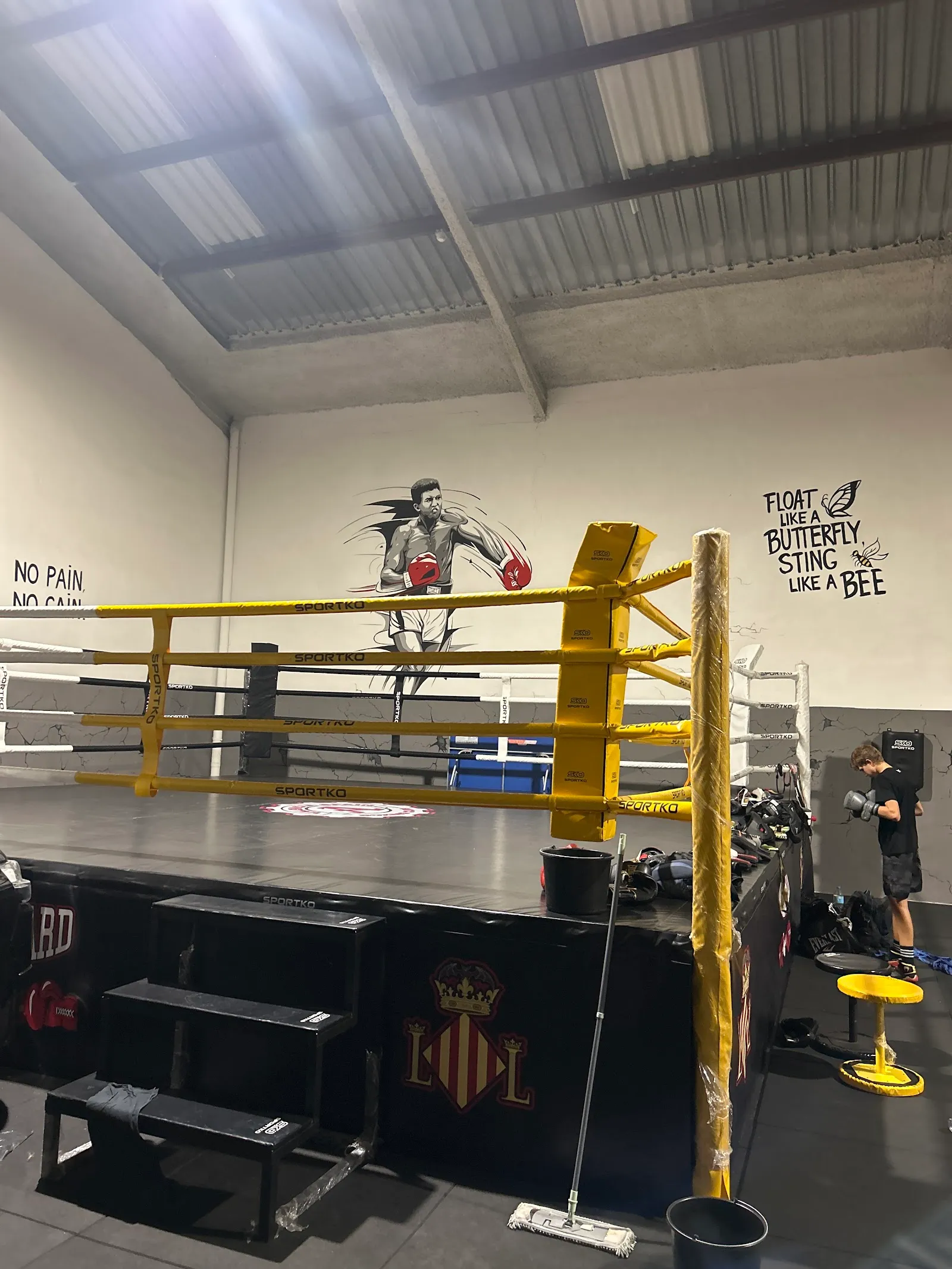 Avangard Boxing Valencia — artes marciales-studio en Alboraia — 3