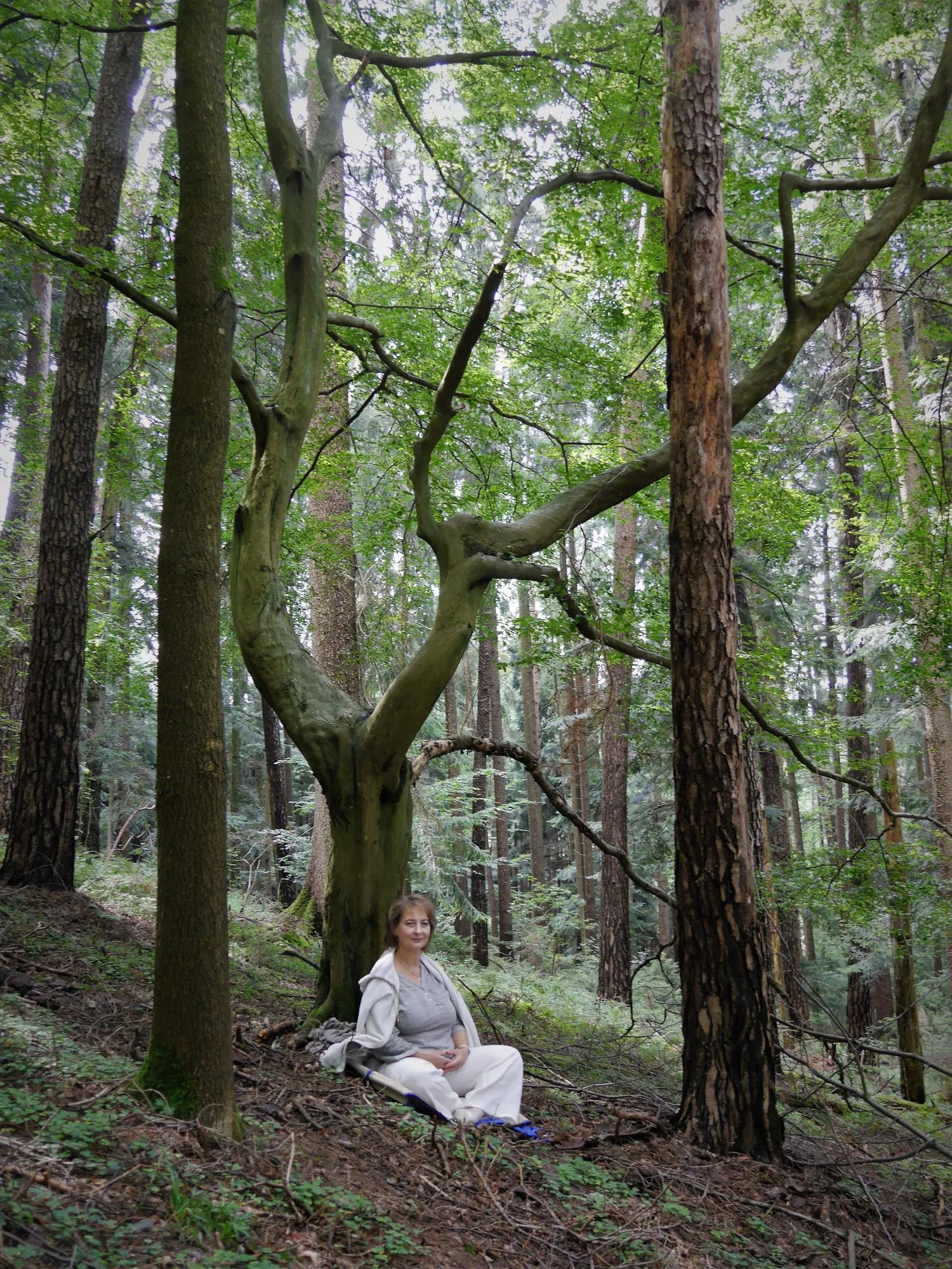 Taiji-Qigong mit Regine — meditation-studio in Kiel — 4