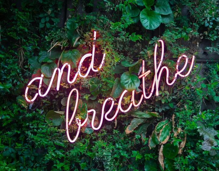 The Breathwork Company Ademcoaching — meditatie-studio in Centrum, Amsterdam — 3