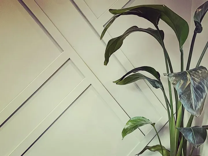 Reform Fit — pilates-studio in Saffron Walden — 4