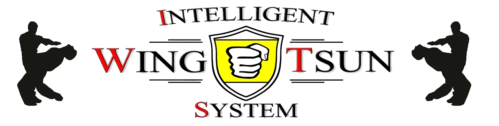 Intelligent Wing Tsun System — kampfsport-studio in Magdeburg — 3