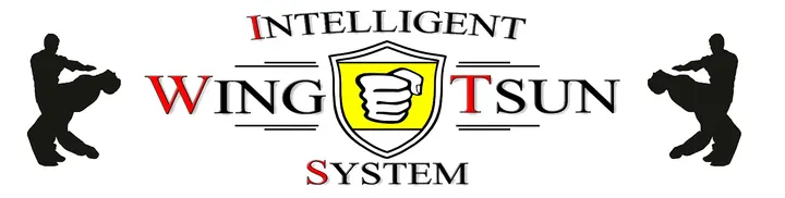 Intelligent Wing Tsun System — kampfsport-studio in Magdeburg — 3