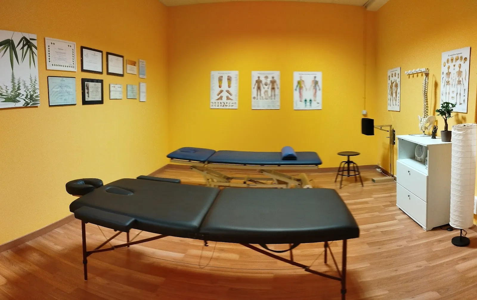 Asociación Canaria De Tai Chi Chuan Y Chi Kung — artes marciales-studio en Schamann, Las Palmas de Gran Canaria — 3