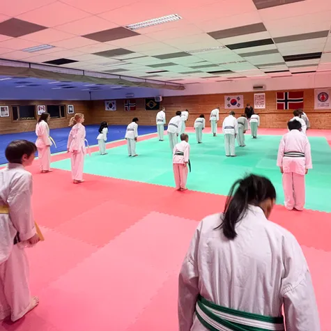 Moss taekwondo og kampsport klubb — kampsport-studio i Moss — bild 2