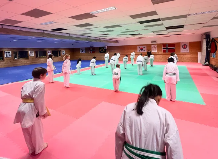 Moss taekwondo og kampsport klubb — kampsport-studio i Moss — 3